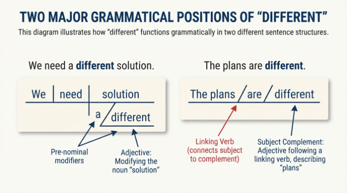 Annotated examples showing how different functions as an adjective