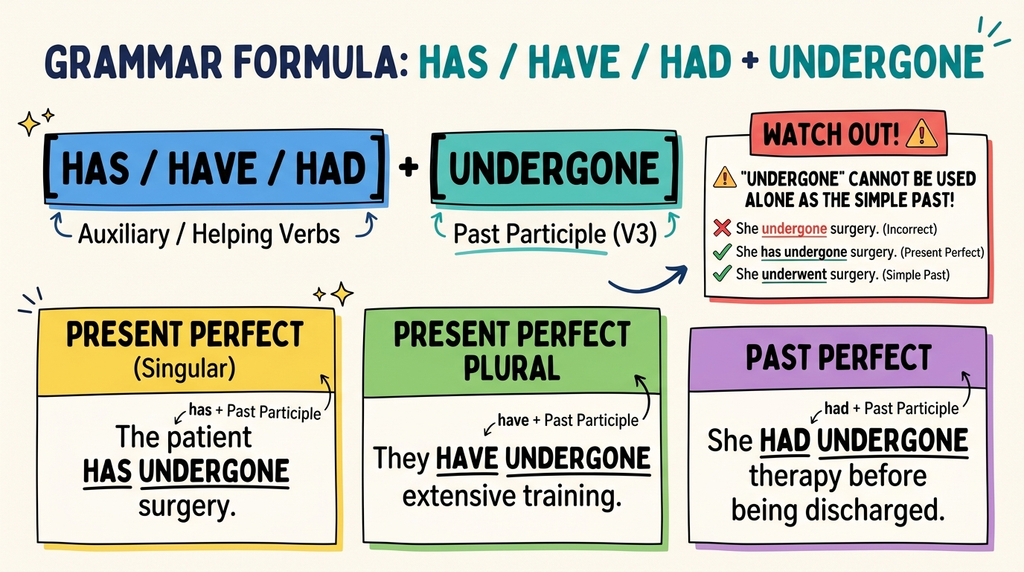 Grammar formula showing has have or had followed by the past participle undergone
